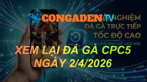 XEM LẠI ĐÁ GÀ CPC5 NGÀY 2/4/26